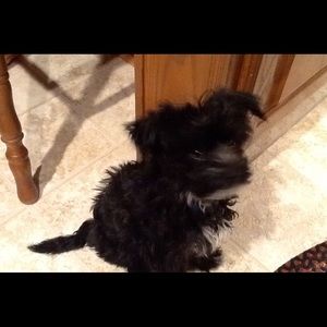 Meet your Posher, Sheryl